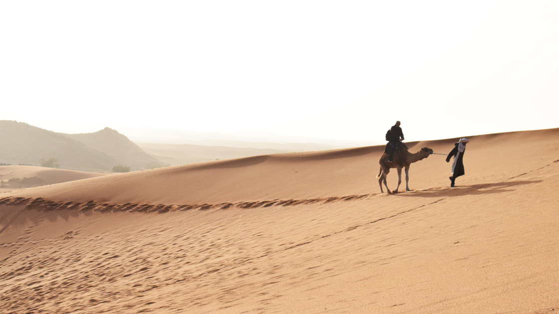 Berbero Guida cammello deserto Merzouga